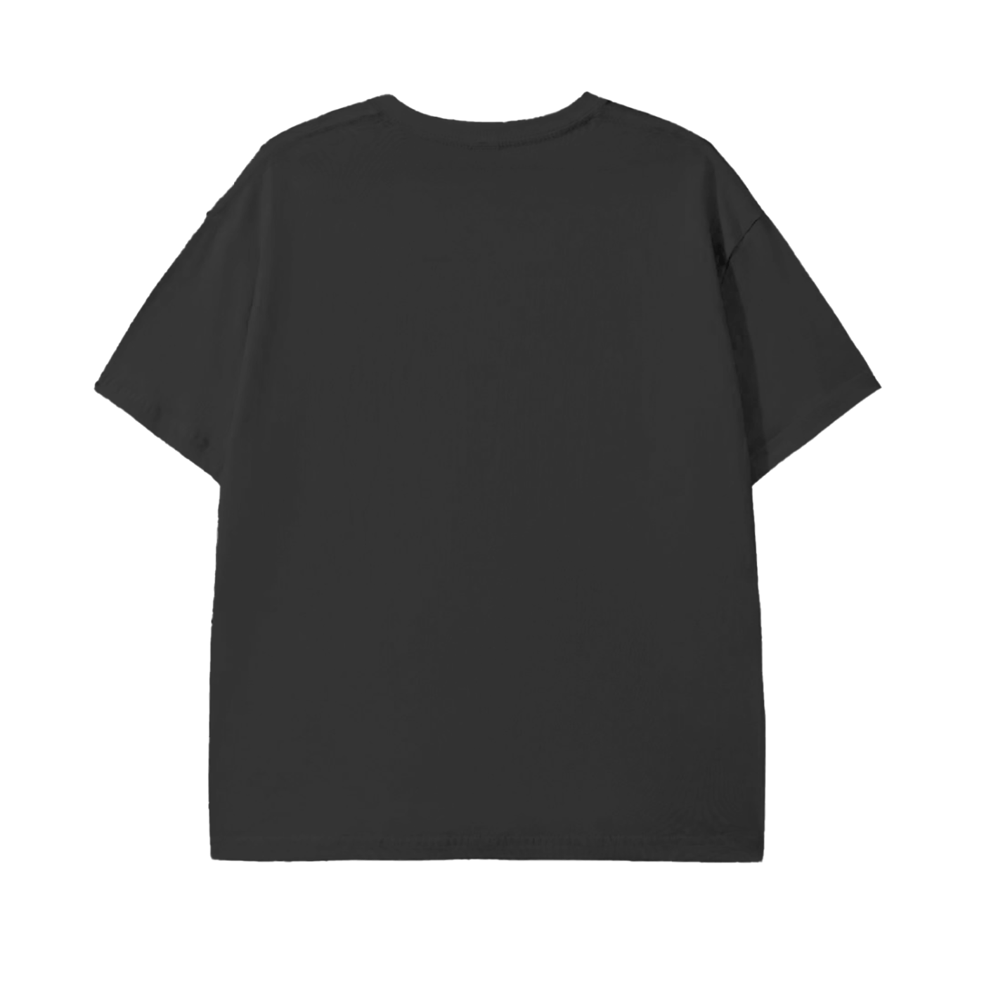 Unisex Classic T-Shirt -